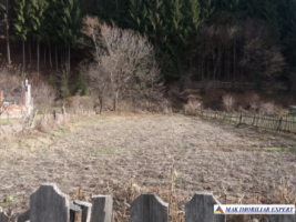 teren-intravilan-750-mp-de-vanzare-in-dragoslavele-arges-ideal-pentru-constructii-rezidentiale