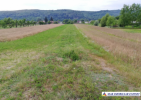 teren-intravilan-3974-mp-cu-utilitati-complete-ideal-pentru-investitii-in-titesti-arges