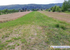 teren-intravilan-3974-mp-cu-utilitati-complete-ideal-pentru-investitii-in-titesti-arges-1