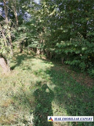 teren-intravilan-5597-mp-de-vanzare-in-bradulet-galesu-arges-ideal-pentru-dezvoltari-rezidentiale-sau-agricole-4