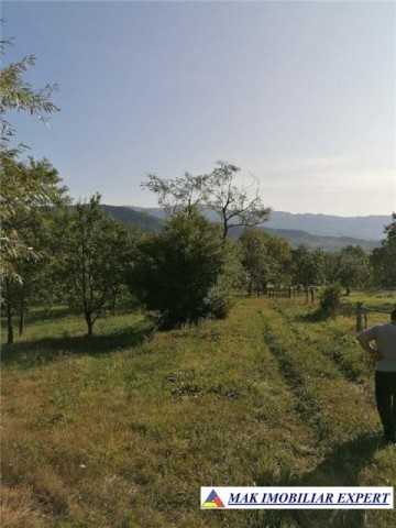 teren-intravilan-5597-mp-de-vanzare-in-bradulet-galesu-arges-ideal-pentru-dezvoltari-rezidentiale-sau-agricole-3