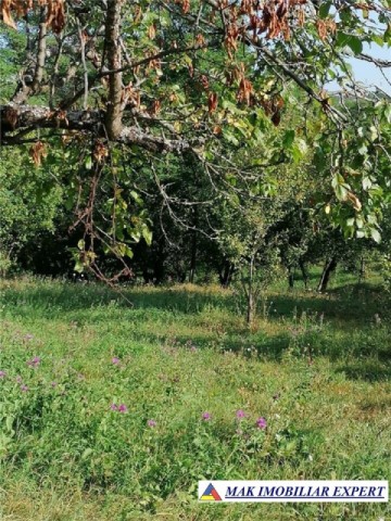 teren-intravilan-5597-mp-de-vanzare-in-bradulet-galesu-arges-ideal-pentru-dezvoltari-rezidentiale-sau-agricole-2
