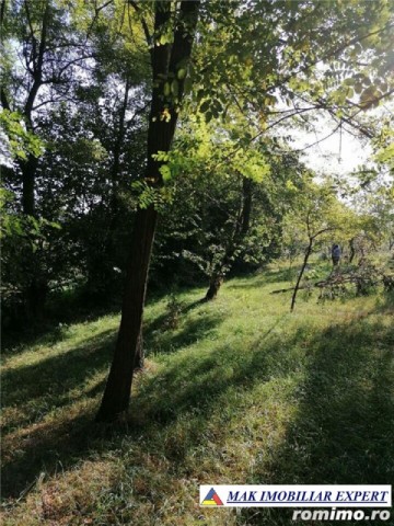 teren-intravilan-5597-mp-de-vanzare-in-bradulet-galesu-arges-ideal-pentru-dezvoltari-rezidentiale-sau-agricole-6