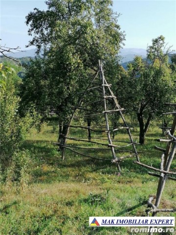 teren-intravilan-5597-mp-de-vanzare-in-bradulet-galesu-arges-ideal-pentru-dezvoltari-rezidentiale-sau-agricole-5