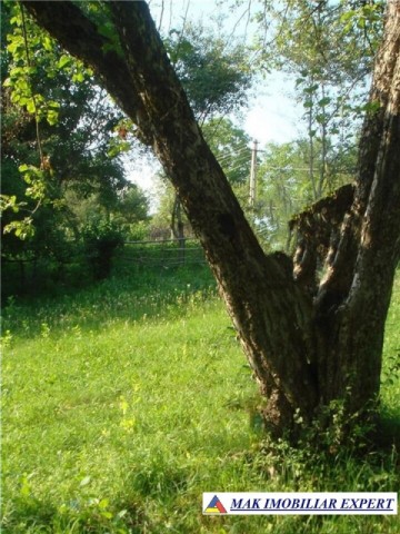 teren-3000-mp-intravilan-matau-mioarele-2