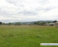 vand-teren-intravilan-5000-mp-stalpeni-arges-pentru-dezvoltare-rezidentiala-sau-turistica