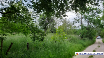teren-5500-mp-intravilan-campulung-3