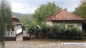 casa-5-camere-teren-9000-mp-balilesti-1