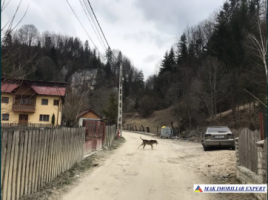 teren-intravilan-3350-mp-de-vanzare-in-podul-dambovitei-dambovicioara-arges-ideal-pentru-constructii-turistice-si-rezidentiale-3