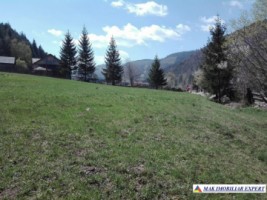 teren-intravilan-1800-mp-de-vanzare-in-dragoslavele-arges-oportunitate-ideala-pentru-constructii