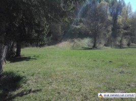 teren-intravilan-1800-mp-de-vanzare-in-dragoslavele-arges-oportunitate-ideala-pentru-constructii-1