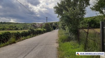 teren-de-vanzare-1645-mp-intravilan-in-apa-sarata-campulung-muscel-arges-6