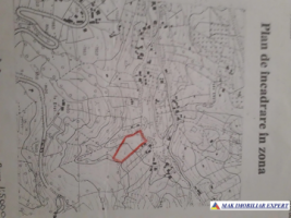 teren-5089-mp-intra-extravilan-de-vanzare-in-podul-dambovitei-dambovicioara-arges-ideal-pentru-proiecte-turistice-si-rezidentiale-1
