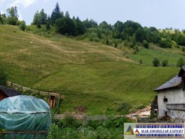 teren-5800-mp-intra-extravilan-de-vanzare-in-dambovicioara-arges-oportunitate-pentru-dezvoltari-turistice-si-rezidentiale