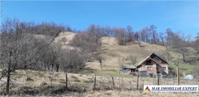 teren-4000-mp-intraextravilan-de-vanzare-in-valea-romanestilor-campulung-muscel-arges-potrivit-pentru-proiecte-agricole-si-rezidentiale-1