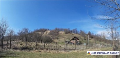 teren-4000-mp-intraextravilan-de-vanzare-in-valea-romanestilor-campulung-muscel-arges-potrivit-pentru-proiecte-agricole-si-rezidentiale-3