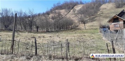 teren-4000-mp-intraextravilan-de-vanzare-in-valea-romanestilor-campulung-muscel-arges-potrivit-pentru-proiecte-agricole-si-rezidentiale-4