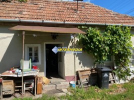 id-5365-casa-veche-de-vanzare-oarda-cu-467-mp-teren-la-asfalt-toate-utilitatile-racordate-pozitie-excelenta