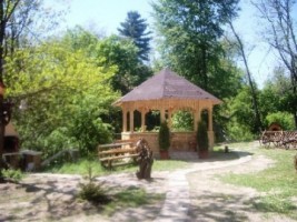nu-mai-inchiriaza-cabana-montana-7-camere-teren-1000-mp-campulung-2