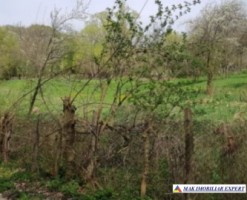 teren-2139-mp-intravilan-mihaesti-1