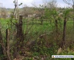 teren-2139-mp-intravilan-mihaesti-2