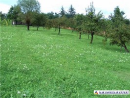 teren-1174-mp-intravilan-bradulet