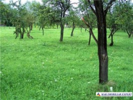 teren-1174-mp-intravilan-bradulet-1