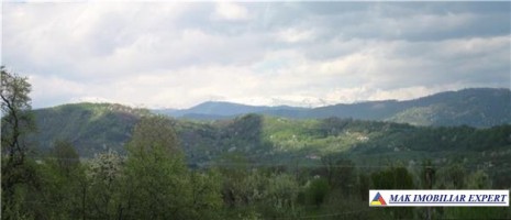 teren-1174-mp-intravilan-bradulet-2