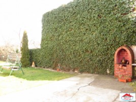 casa-caramida-parter-zona-functionarilor-id-22079-2