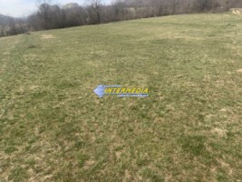 teren-intravilan-de-vanzare-in-ampoita-in-suprafata-de-2365-mp-2
