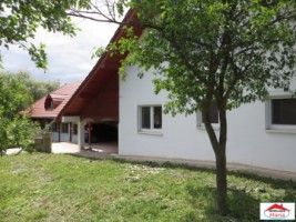 viile-satu-mare-2-case-cu-teren-3200-mp-id-22085-2