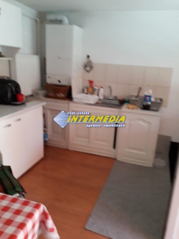 casa-de-vanzare-vintu-de-jos-cu-gradina-si-livada-5