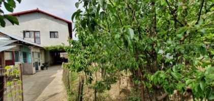 barcanesti-casa-pe-2017-6-camere-ter-516mp-120000-euro