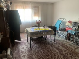 casa-de-vanzare-cu-5-camere-teren-aferent-1410-mp-cu-toate-utilitatile-zona-oarda-14