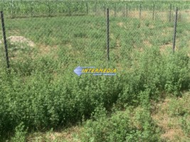 teren-intravilan-de-vanzare-500-mp-alba-micesti-ideal-constructie-case-cu-apa-si-curent-1