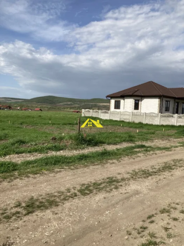 teren-micesti-orizont-10-5
