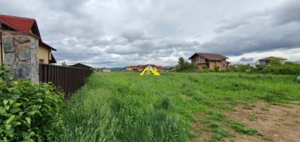 teren-de-vanzare-alba-micesti