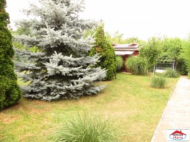 casa-cu-mansarda-in-noroieni-id-22150-12