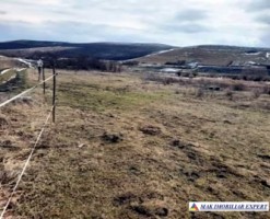 teren-2000-mp-extravilan-de-vanzare-in-sandulesti-cluj-ideal-pentru-activitati-agricole-1