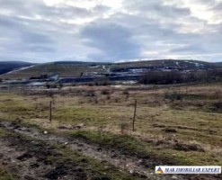 teren-2000-mp-extravilan-de-vanzare-in-sandulesti-cluj-ideal-pentru-activitati-agricole-2