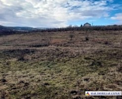 teren-2000-mp-extravilan-de-vanzare-in-sandulesti-cluj-ideal-pentru-activitati-agricole-3