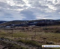 teren-2000-mp-extravilan-de-vanzare-in-sandulesti-cluj-ideal-pentru-activitati-agricole-4