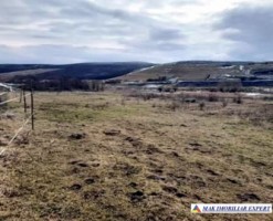teren-2000-mp-extravilan-de-vanzare-in-sandulesti-cluj-ideal-pentru-activitati-agricole-5
