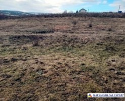 teren-2000-mp-extravilan-de-vanzare-in-sandulesti-cluj-ideal-pentru-activitati-agricole-7