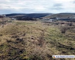 teren-2000-mp-extravilan-de-vanzare-in-sandulesti-cluj-ideal-pentru-activitati-agricole-6
