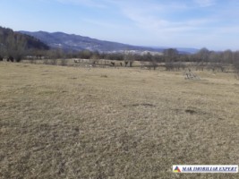 teren-2-ha-intraextravilan-poienarii-de-muscel-arges-dezvoltari-rezidentiale-agricultura-proiecte-mixte-1