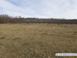 teren-2-ha-intraextravilan-poienarii-de-muscel-arges-dezvoltari-rezidentiale-agricultura-proiecte-mixte