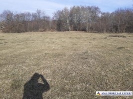 teren-2-ha-intraextravilan-poienarii-de-muscel-arges-dezvoltari-rezidentiale-agricultura-proiecte-mixte-2
