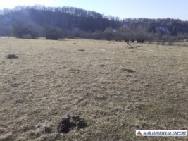 teren-2-ha-intraextravilan-poienarii-de-muscel-arges-dezvoltari-rezidentiale-agricultura-proiecte-mixte-3