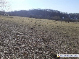 teren-2-ha-intraextravilan-poienarii-de-muscel-arges-dezvoltari-rezidentiale-agricultura-proiecte-mixte-4